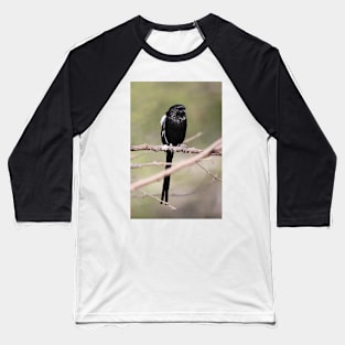 Long-tailed Shrike, Serengeti, Tanzania Baseball T-Shirt